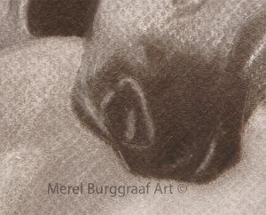Merel Burggraaf Art Lipizzaner Drawing crayon conte equine paard horse detail mouth